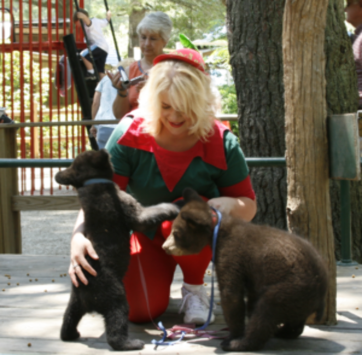 Santas Land Fun Park and Zoo Trip Packages