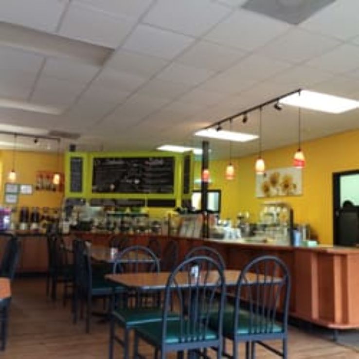 Sassy Sunflowers Bakery and Cafe Trip Packages