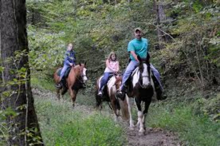 Smokemont Riding Stables Trip Packages