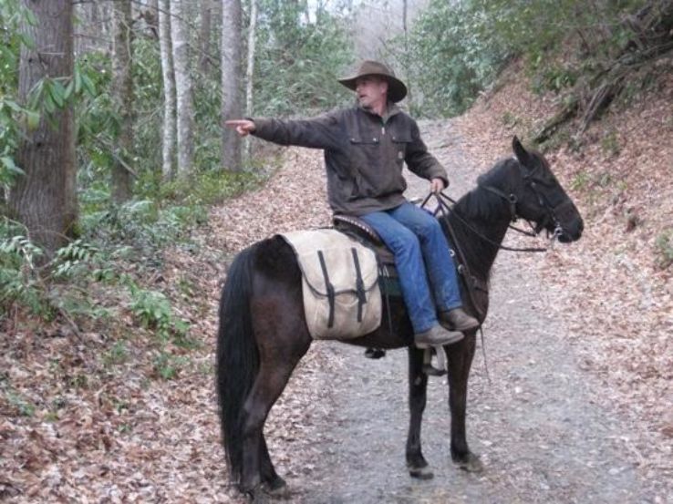 Smokemont Riding Stables Trip Packages