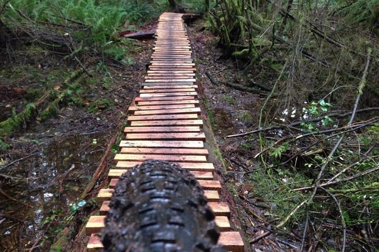 Henry Ridge Natural Area Trip Packages