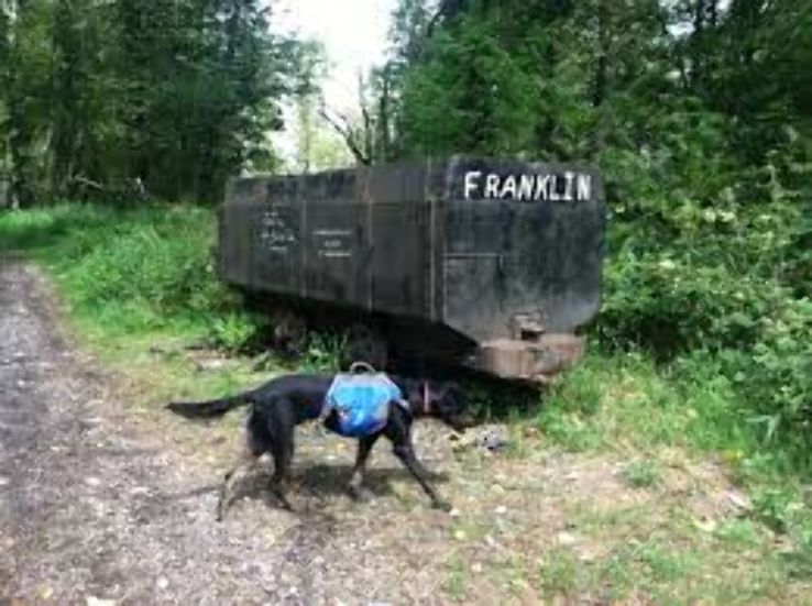 Franklin Ghost Town  Trip Packages