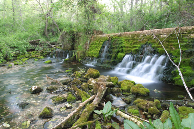 Ritter Springs Park Trip Packages