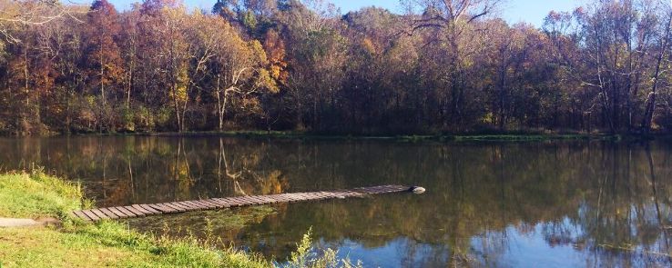 Ritter Springs Park Trip Packages