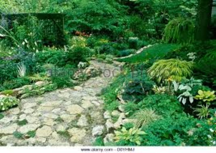 Hosta Garden Trip Packages