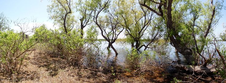 Lake Grapevine  Trip Packages