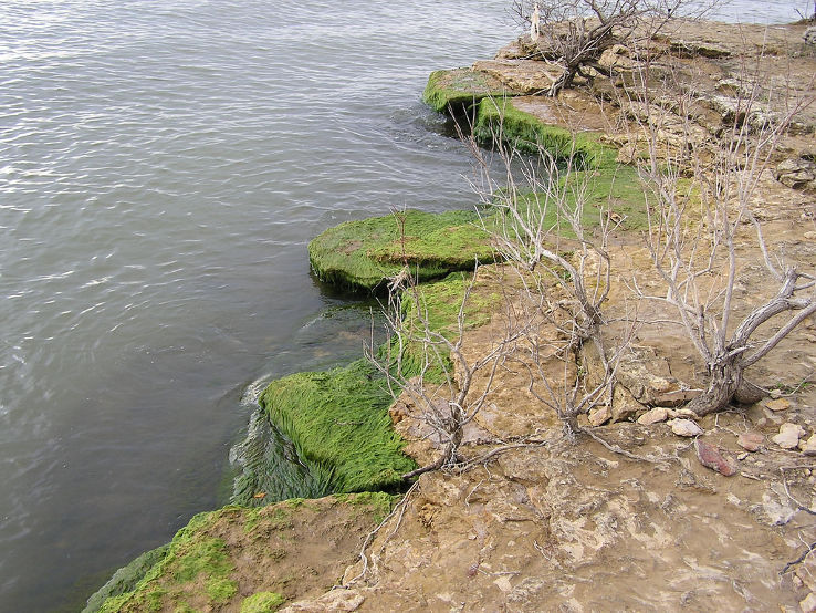 Lake Grapevine  Trip Packages