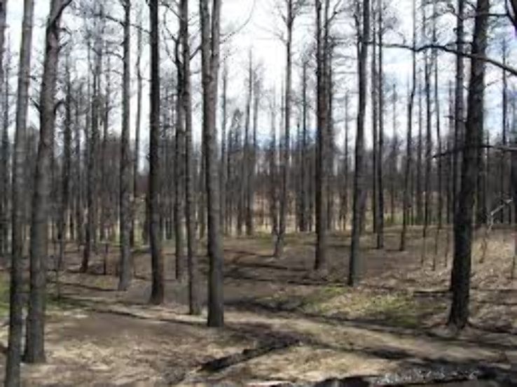 Edmondson Trail Head Trip Packages