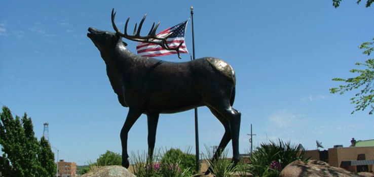 Bull Elk Statue Trip Packages