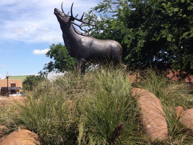 Bull Elk Statue Trip Packages