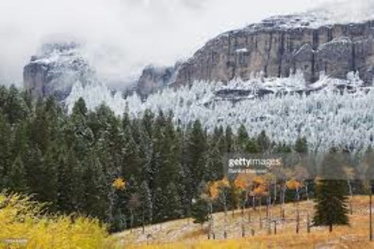 Yellowstone National Park Trip Packages