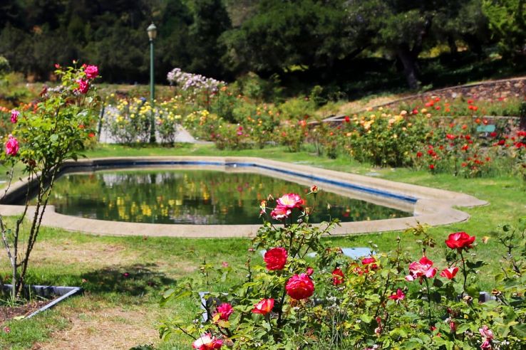 Oakland Rose Garden Trip Packages