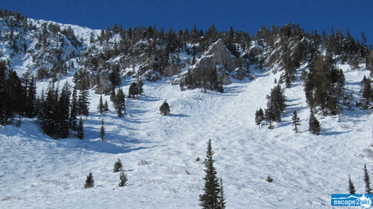 Bridger Bowl Ski Area Trip Packages