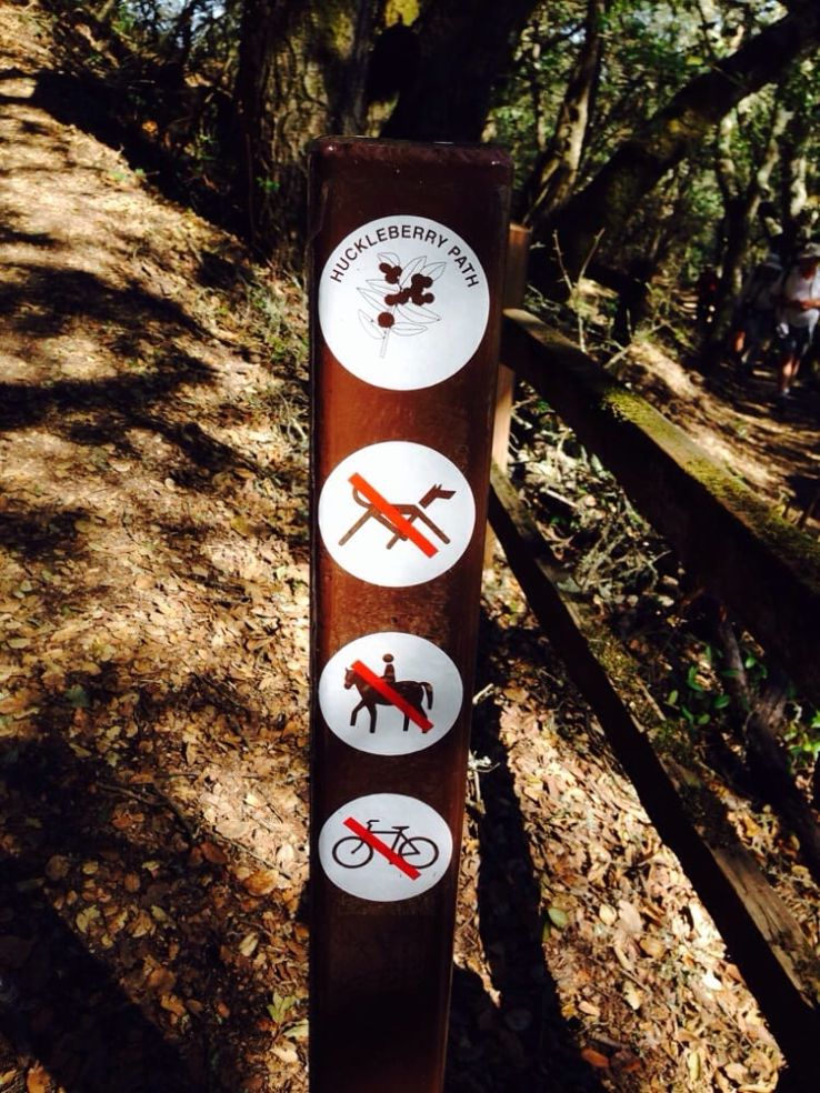  Huckleberry Botanic Regional Preserve Trip Packages