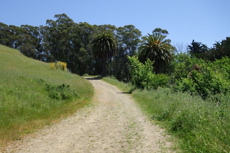 Wildcat Canyon Regional Park Trip Packages