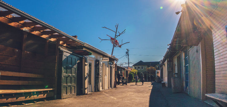 Temescal Trip Packages