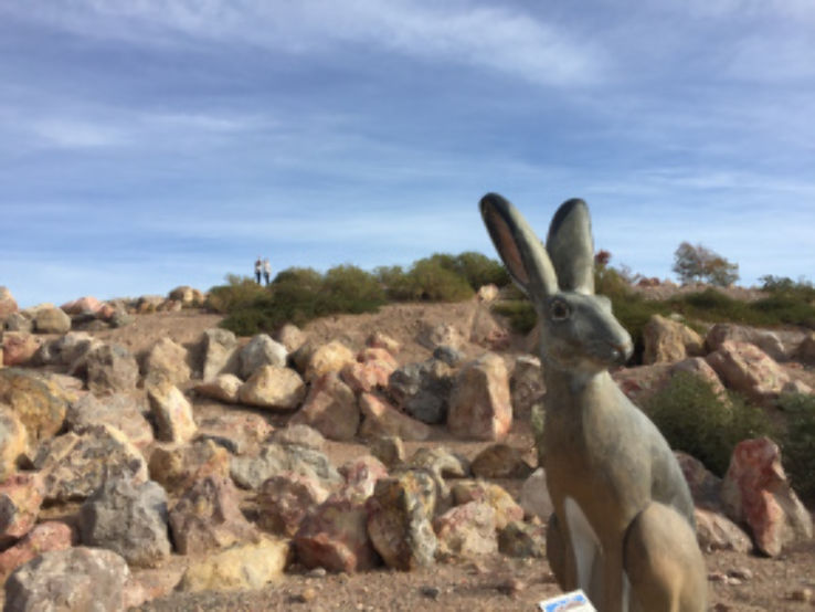 Nature Discovery Trail and Rock Garden Trip Packages