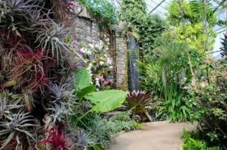 Daniel Stowe Botanical Garden Trip Packages