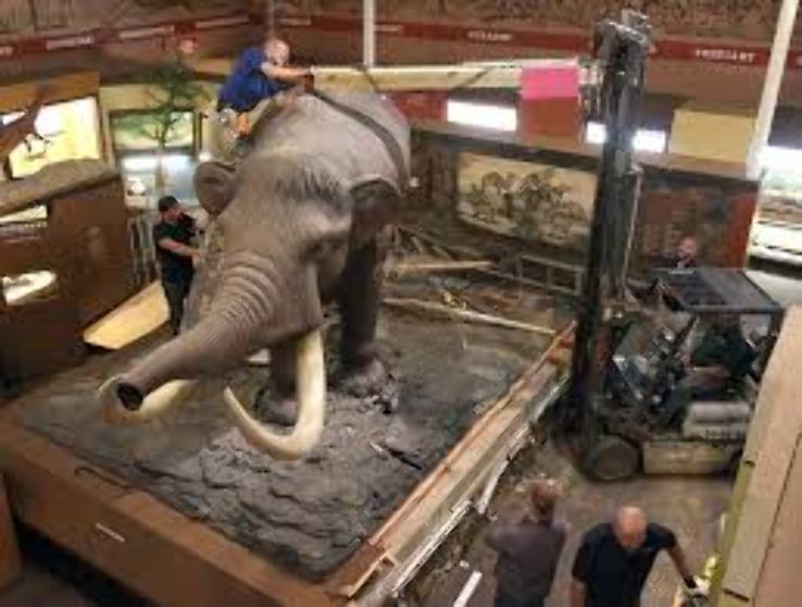 Schiele Museum of Natural History Trip Packages