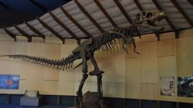 Schiele Museum of Natural History Trip Packages