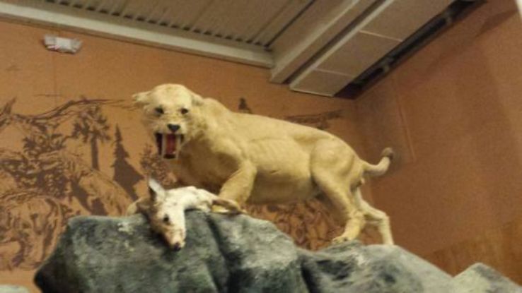 Schiele Museum of Natural History Trip Packages