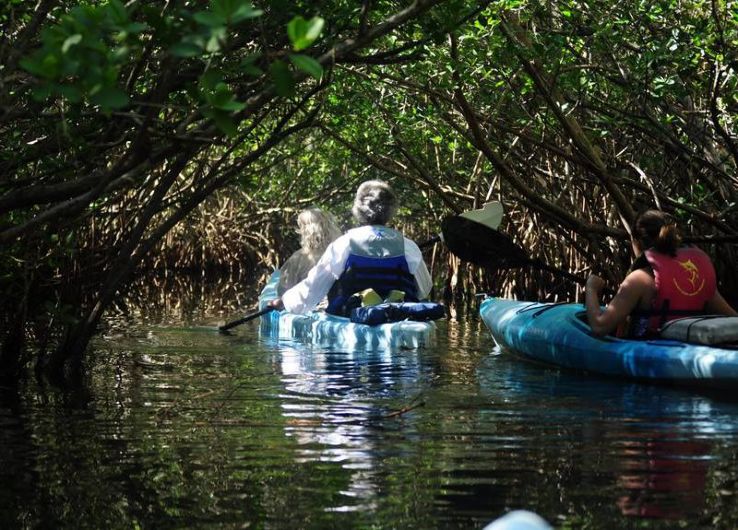 Paddle with the Manatees on a Cocoa Beach Kayaking Tour Trip Packages