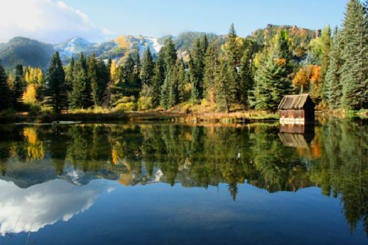 Center for Environmental Studies Trip Packages