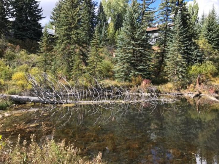 Center for Environmental Studies Trip Packages