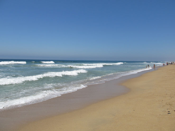 Bolsa Chica Ecological Reserve Trip Packages