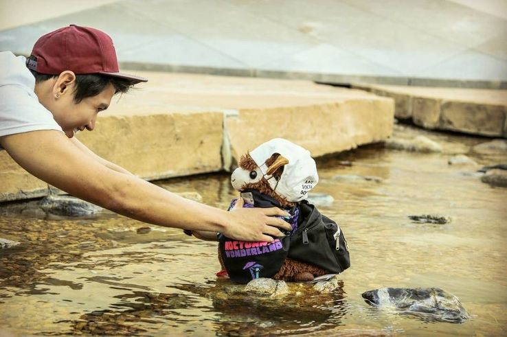 California Scenario Trip Packages