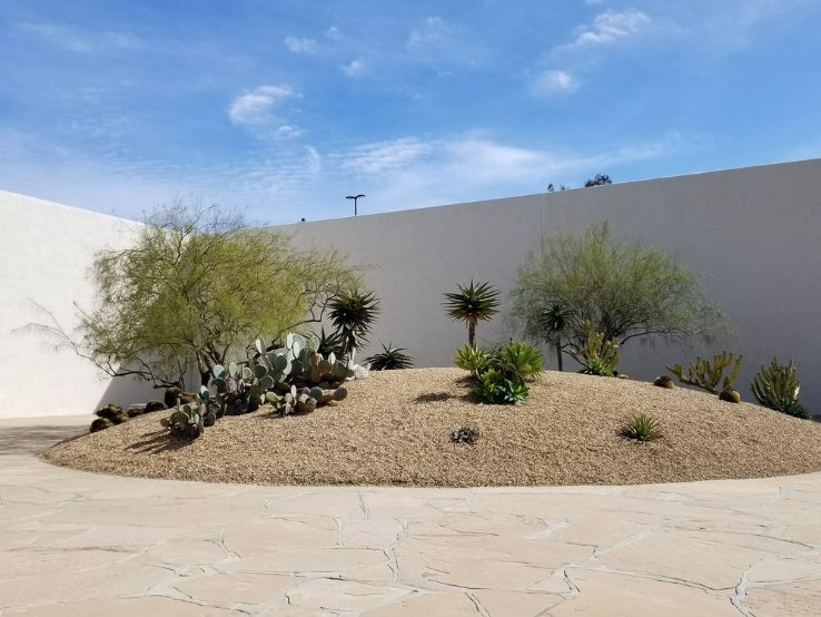 California Scenario Trip Packages