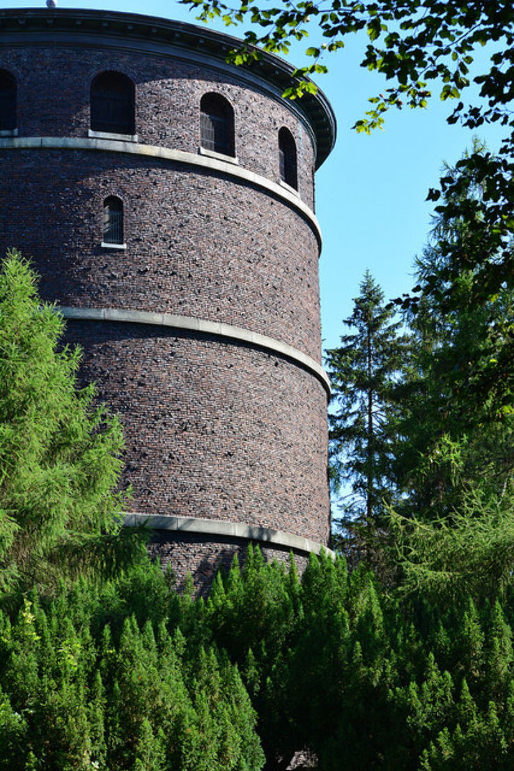 Volunteer Park  Trip Packages