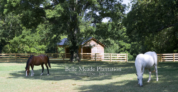 Belle Meade Plantation Trip Packages