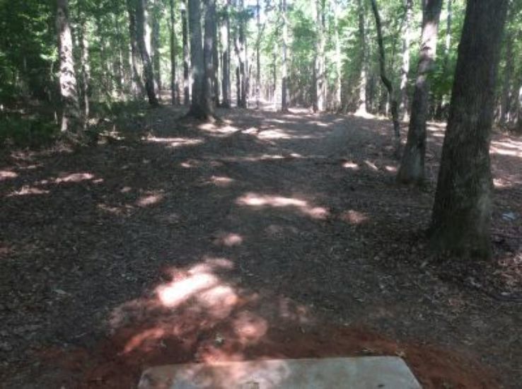 Wyomia Tyus Olympic Park Trip Packages