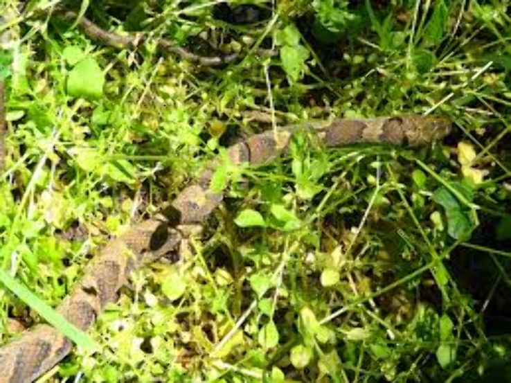 Warner Parks Trip Packages