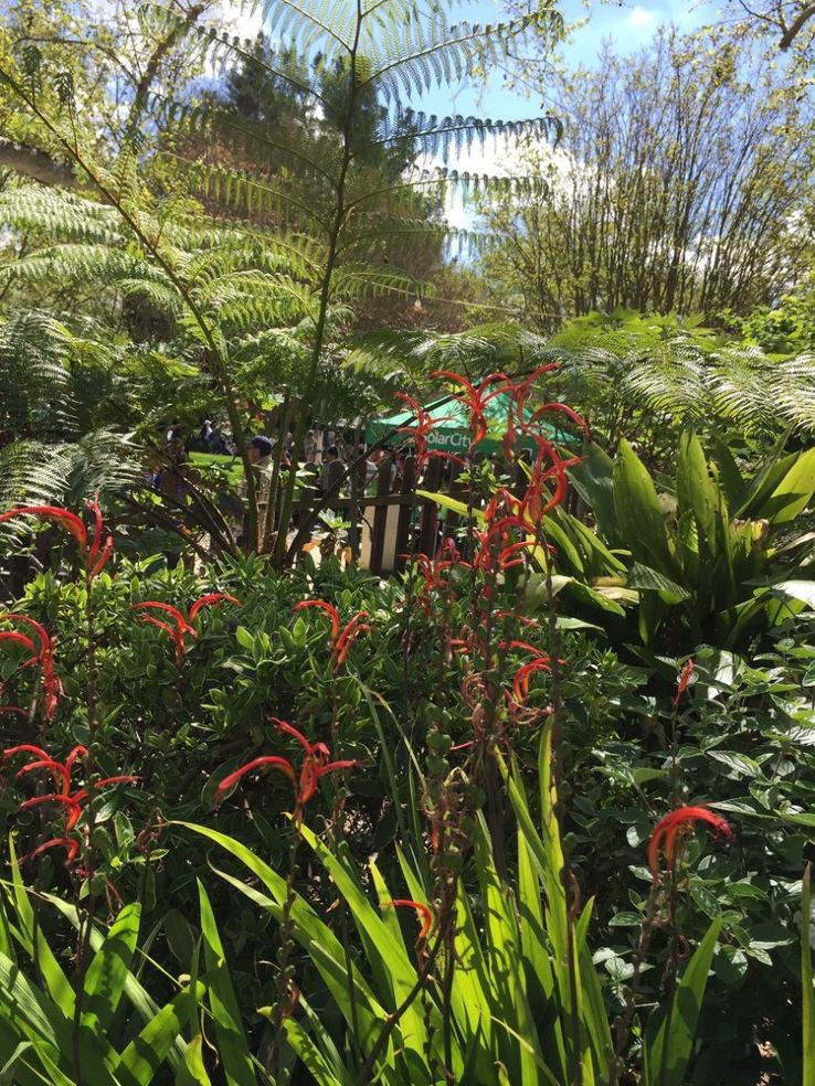 Fairytale Town, Sacramento Trip Packages