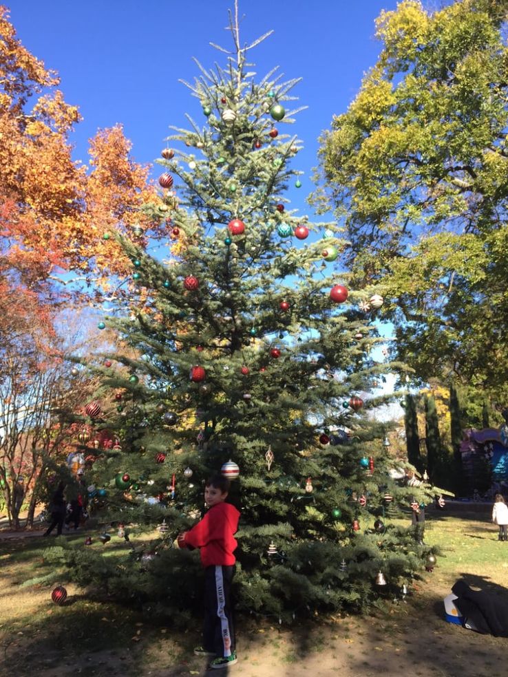 Fairytale Town, Sacramento Trip Packages