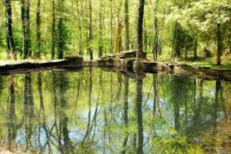 Cheekwood Botanical Garden and Museum of Art Trip Packages