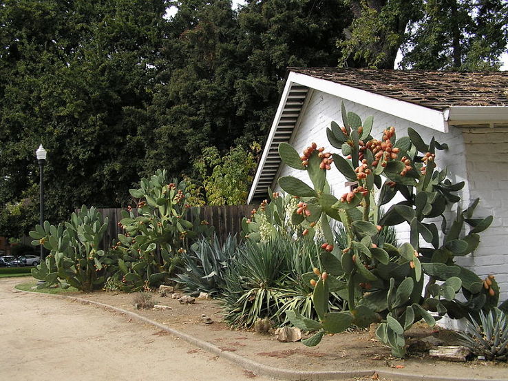 California State Indian Museum, Sacramento Trip Packages