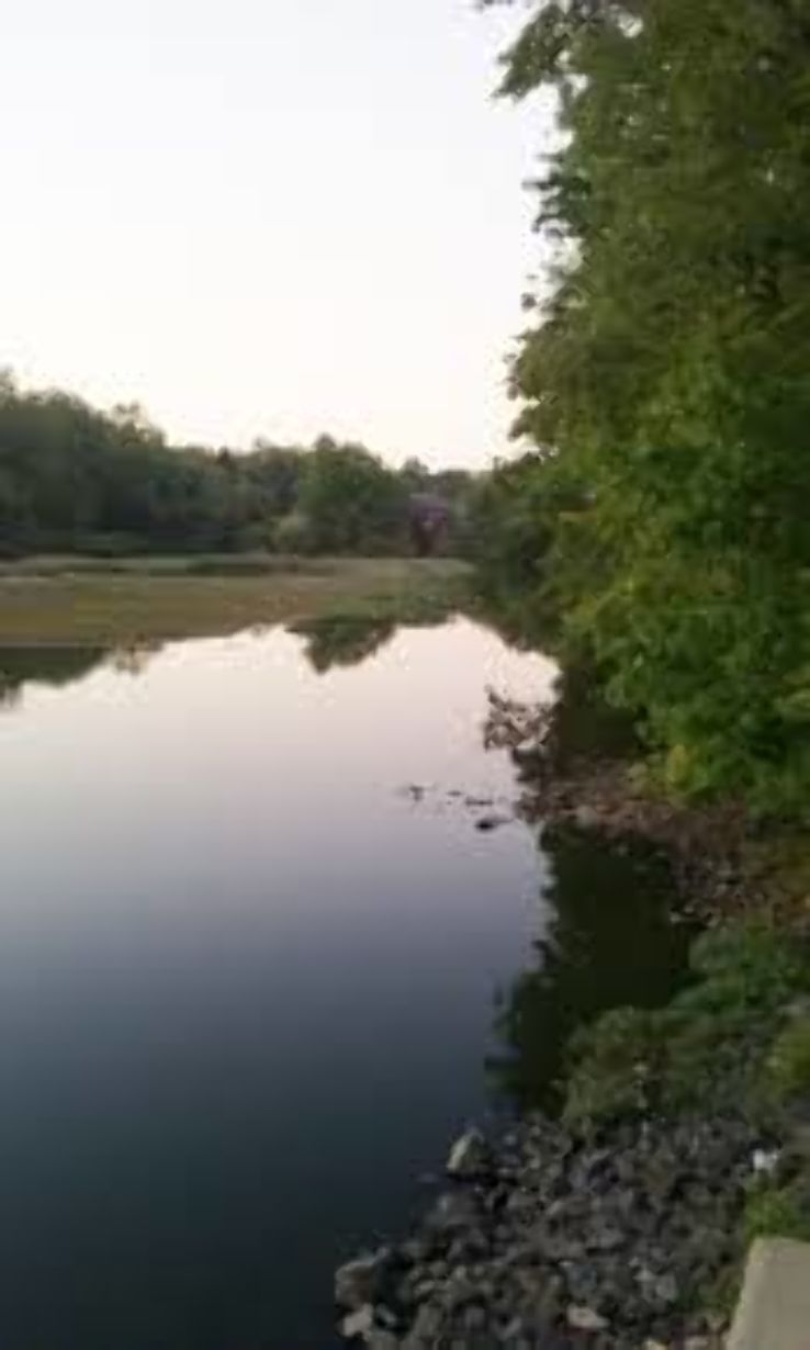 Lake Carnegie  Trip Packages