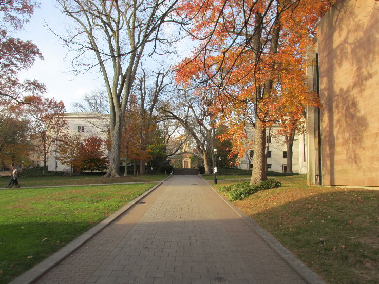 Nassau Hall Trip Packages
