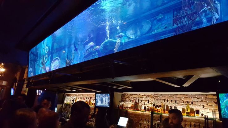 The Dive Bar, Sacramento Trip Packages