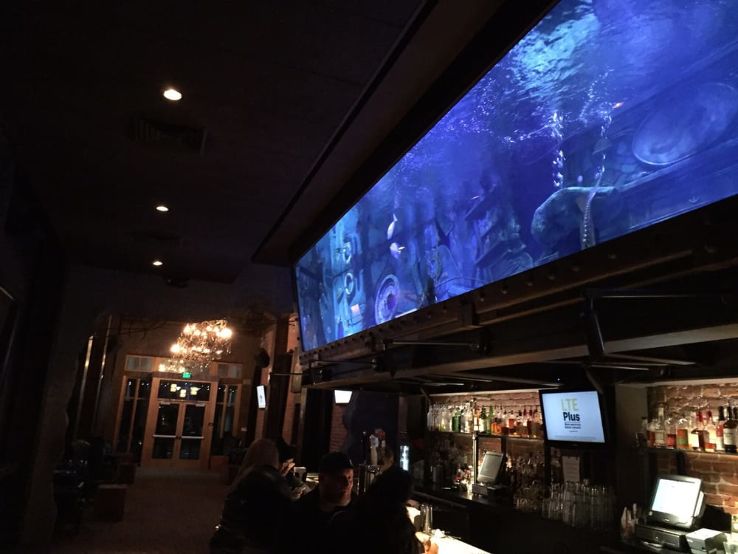 The Dive Bar, Sacramento Trip Packages