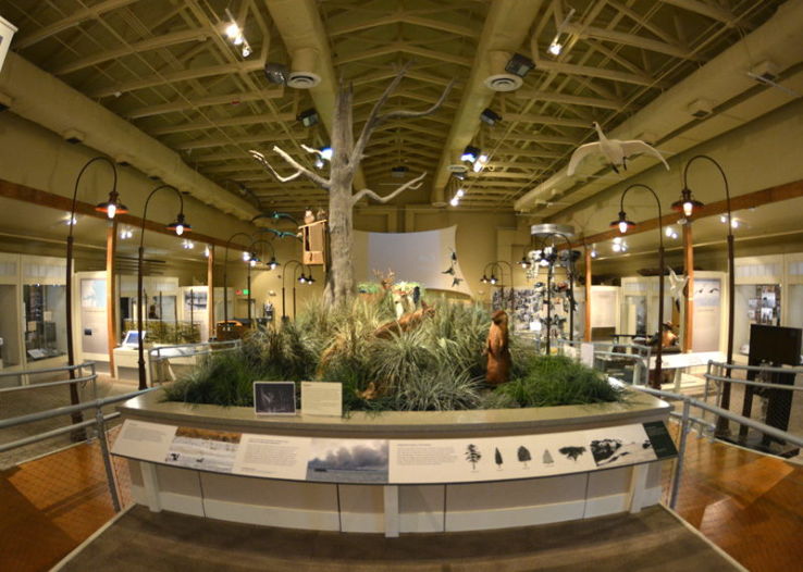 Historic Corolla Park Trip Packages