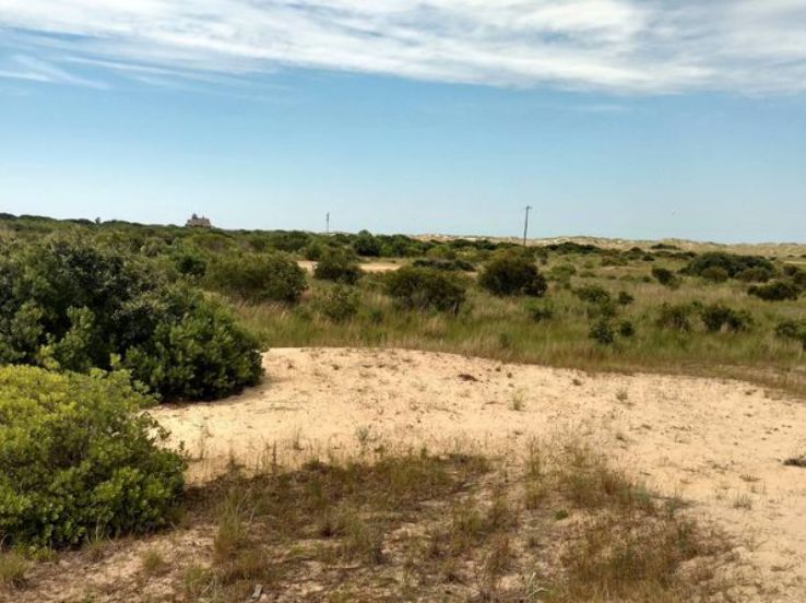 Currituck National Wildlife Refuge Trip Packages