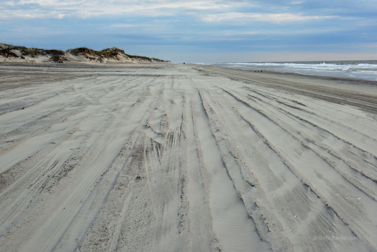 Currituck National Wildlife Refuge Trip Packages