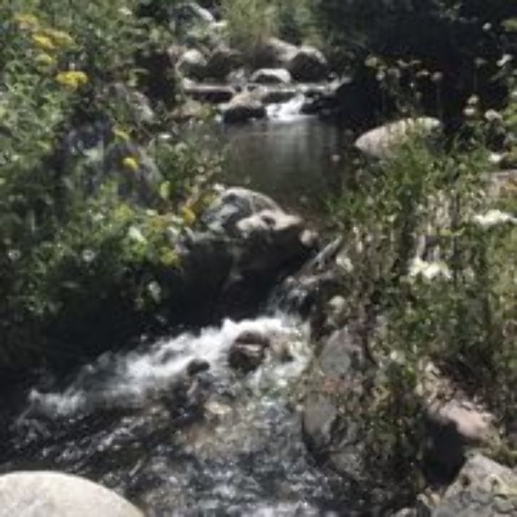 WAGNER PARK Trip Packages