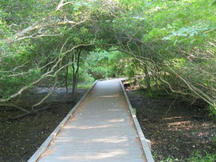 Currituck Banks North Carolina National Estuarine Research Reserve Trip Packages