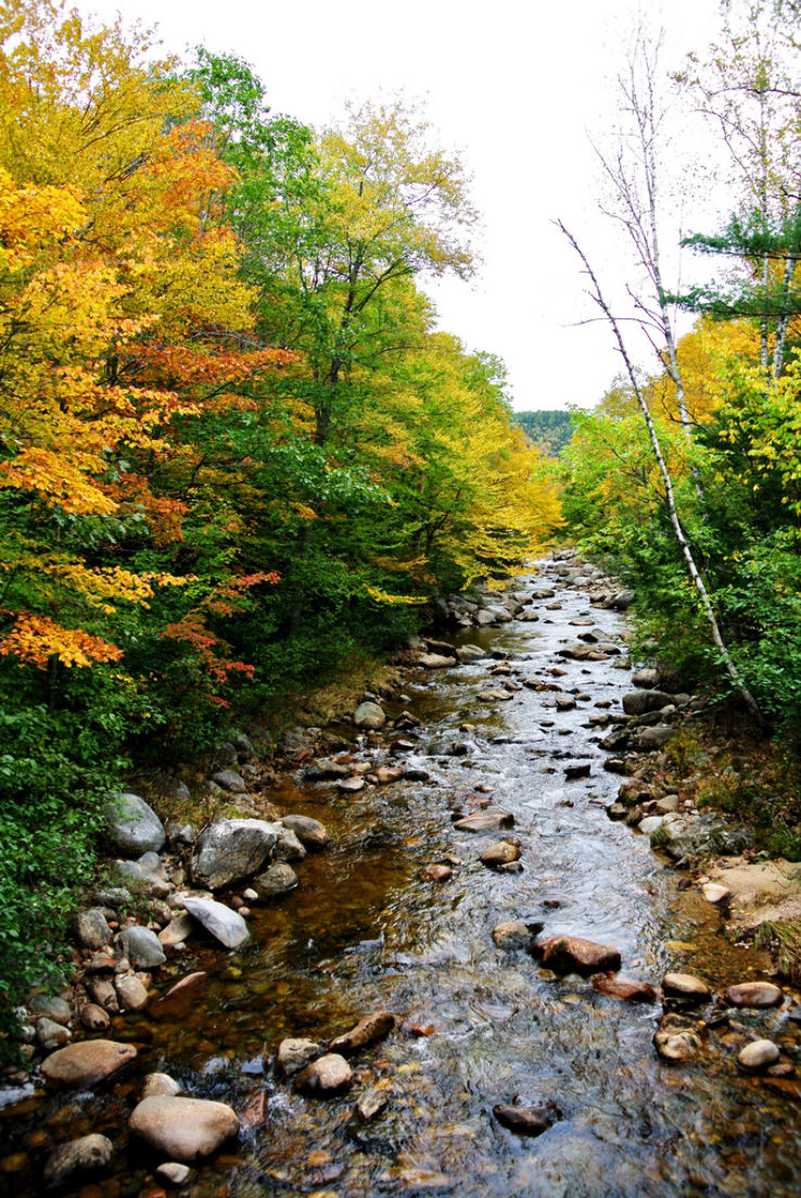 White Mountain National Forest  Trip Packages