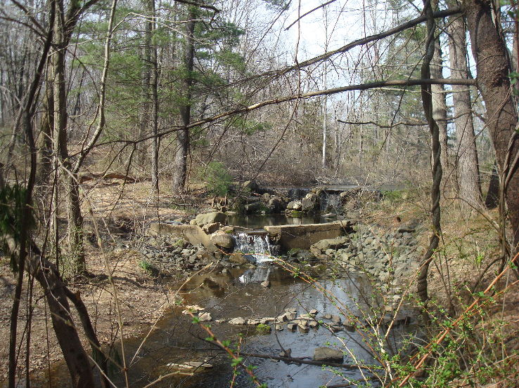 Woodfield Reservation  Trip Packages